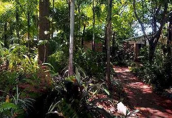 Rainforest Motel Mission Beach